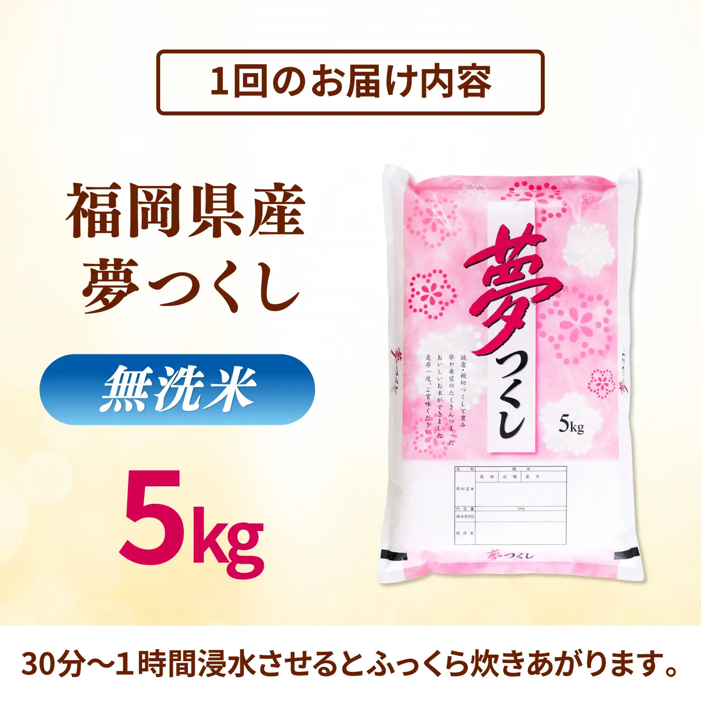 全9回定期便】 【令和8年度産】無洗米 夢つくし 5kg 精米 有限会社