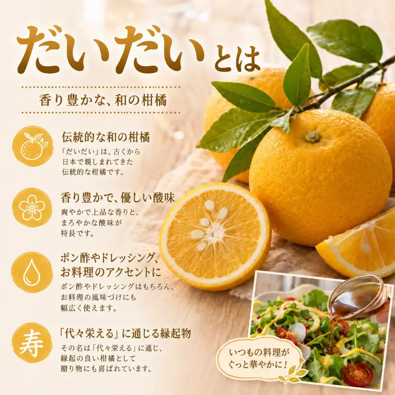 ドレッシング だいだい ノンオイル 3本 300ml×3