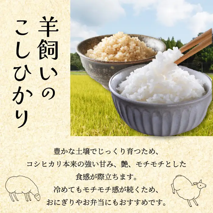 コシヒカリ【6か月定期便】《肥料・農薬　栽培期間中不使用》瀬戸内三原 羊飼いのこしひかり 白米 13kg×6回  瀬戸内ビオファーム お米 こめ ご飯 002040