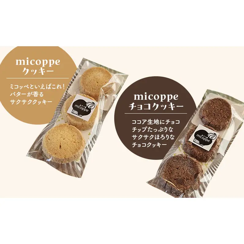 おやつ屋micoppeのおやつ箱（焼き菓子6種・計6個）焼菓子 クッキー サブレ マドレーヌ フィナンシェ セット 詰合せ 手作り おやつ スイーツ 静岡 森町