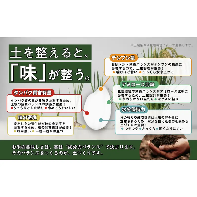 令和8年産 新潟県産 コシヒカリ 1kg お米 白米 こしひかり 新潟産 1キロ 新潟県 新潟市 産地直送 送料無料