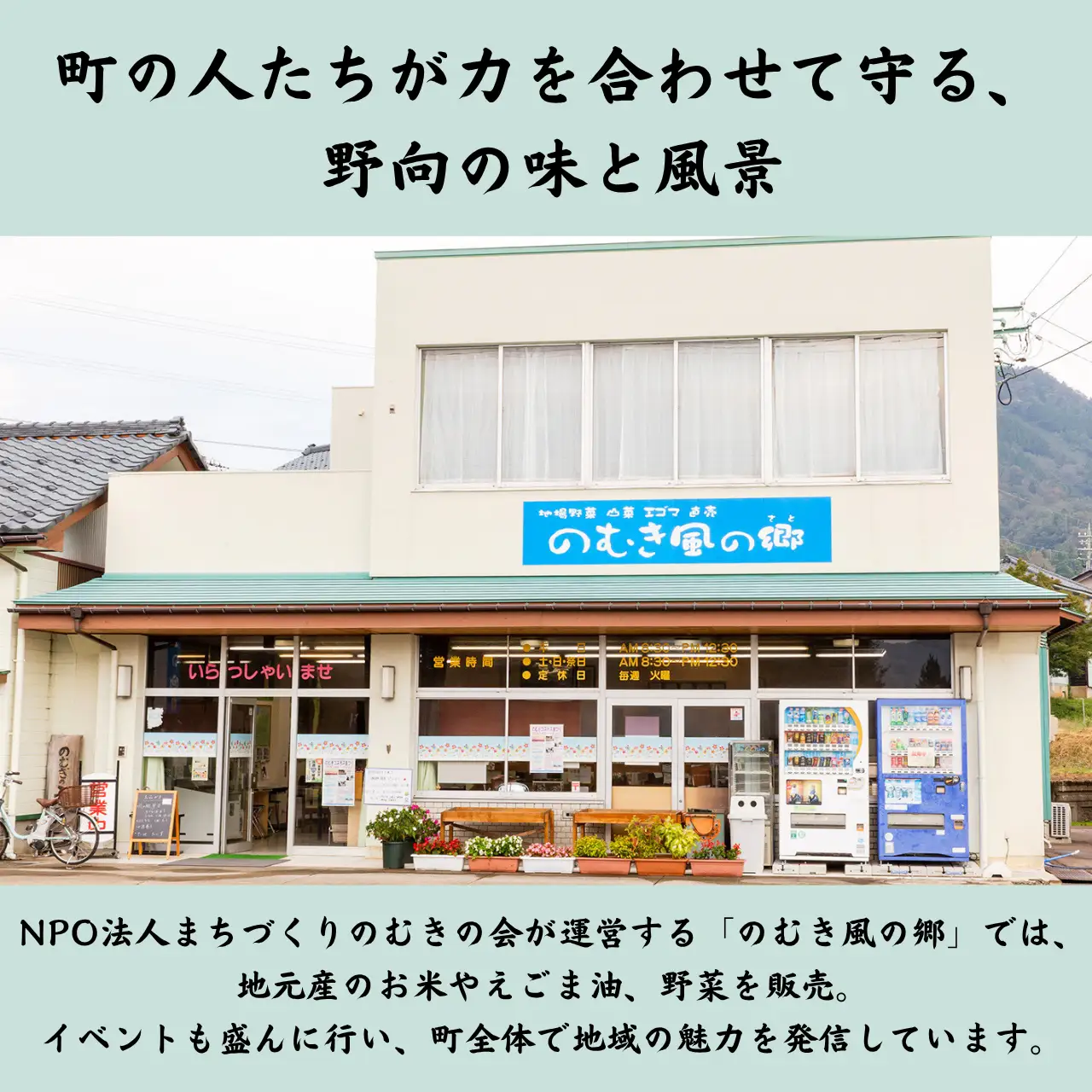 米 令和8年産 コシヒカリ 精米 のむき風の郷 5㎏×2袋  [B-024007]