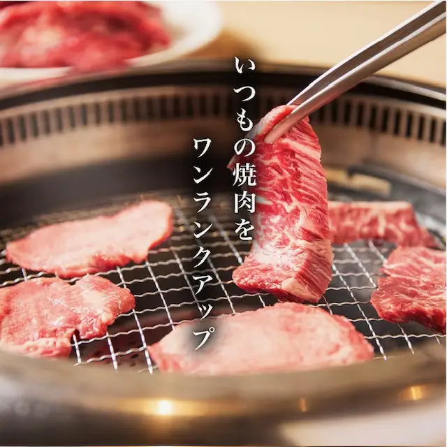 タレ漬け牛ハラミ 500g （250g×2)