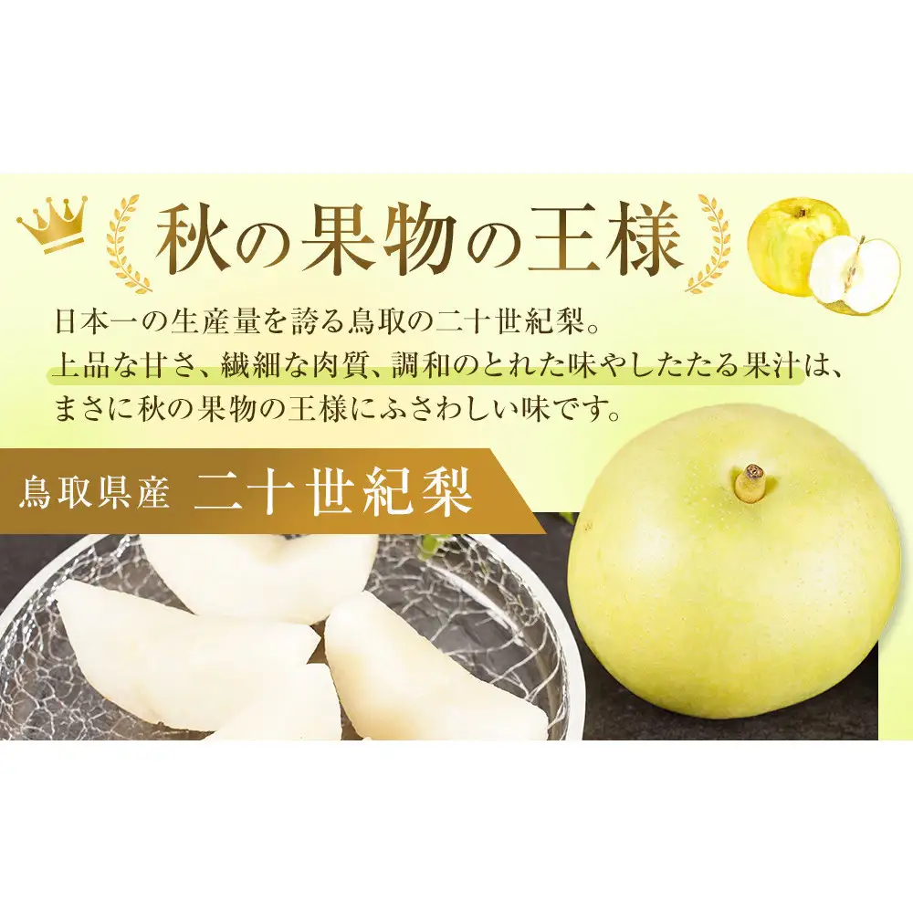 数量限定 鳥取県産梨 二十世紀梨 3.5kg（10玉） | 鳥取県三朝町