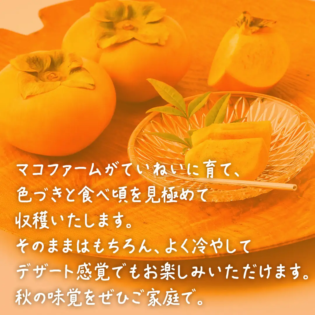 大秋柿 3kg 【 2026年10月上旬発送開始 】 ( 茨城県共通返礼品：大子町 ) [FC200us]