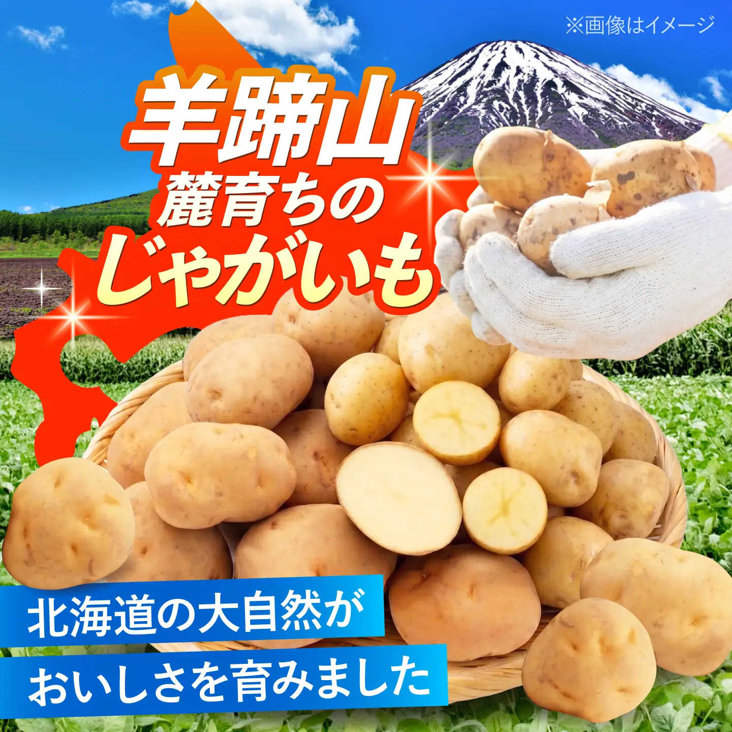 じゃがいも 食べ比べセット（男爵・キタアカリ）計20kg BPAT011 じゃがいも 食べ比べ