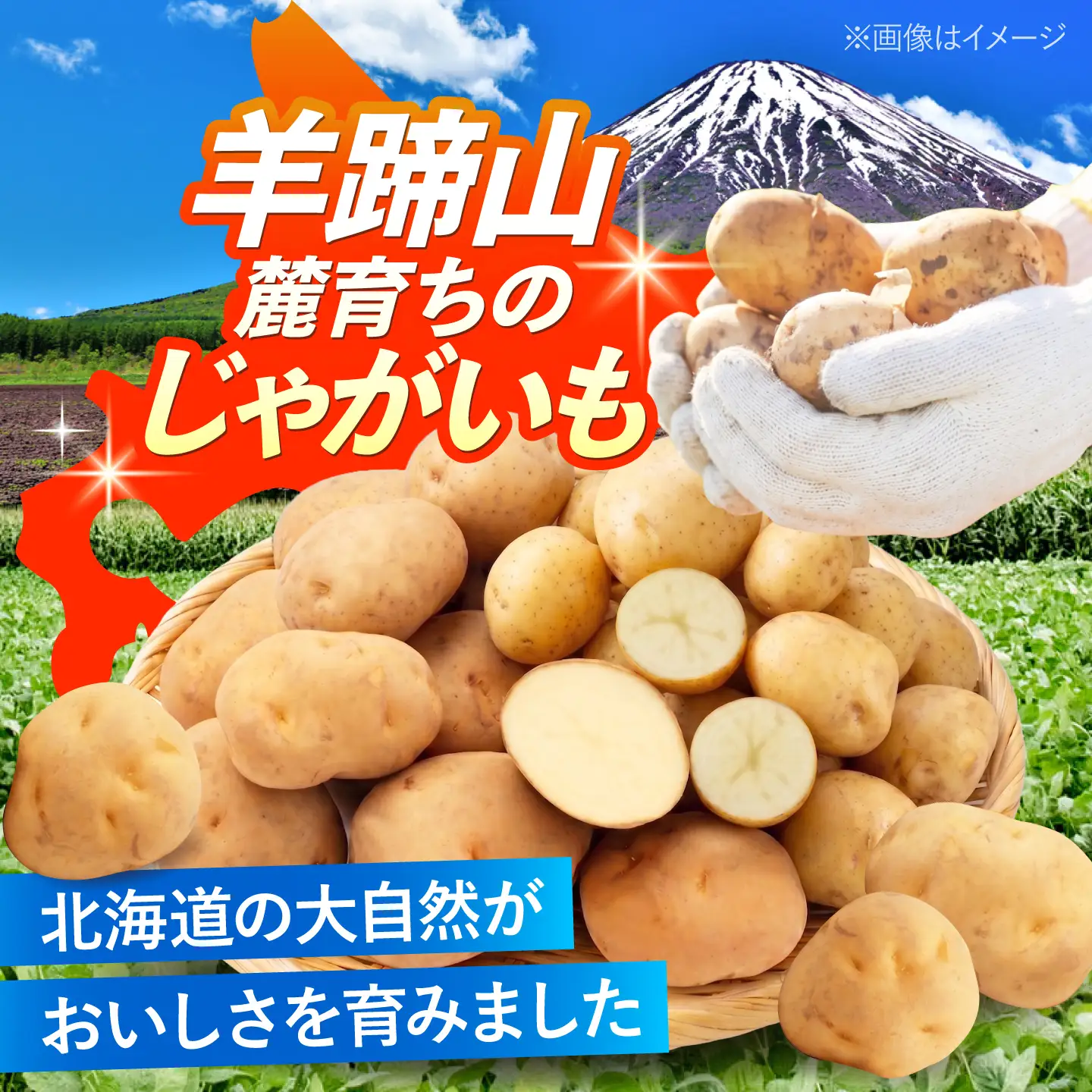 【先行予約】 じゃがいも 食べ比べセット（男爵・きたかむい）計10kg BPAT012 じゃがいも 食べ比べ