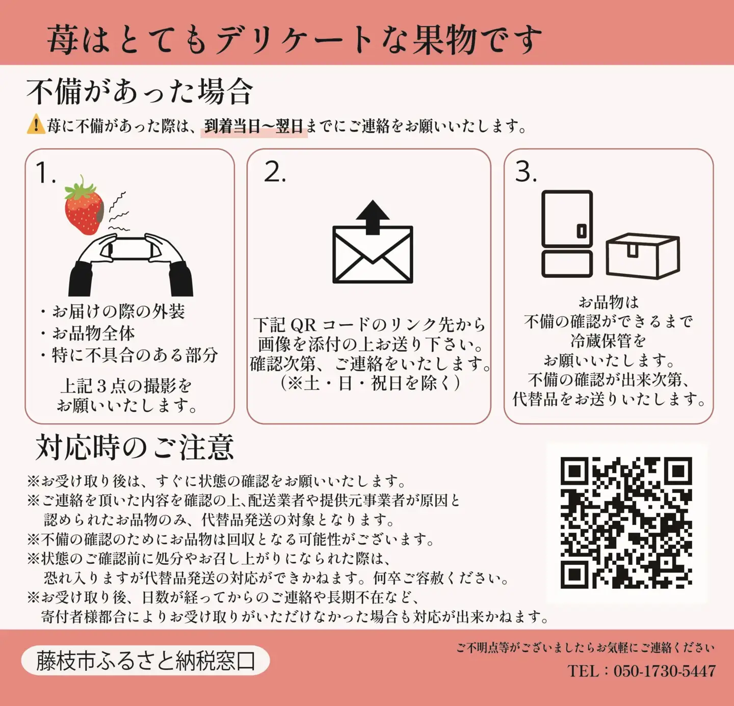  2026年12月順次発送 いちご 約1kg いちご