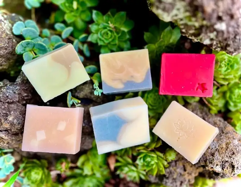 植物の恵みを閉じ込めたオーガニックソープ 4個セット 【種類おまかせ】※ギフト箱入り