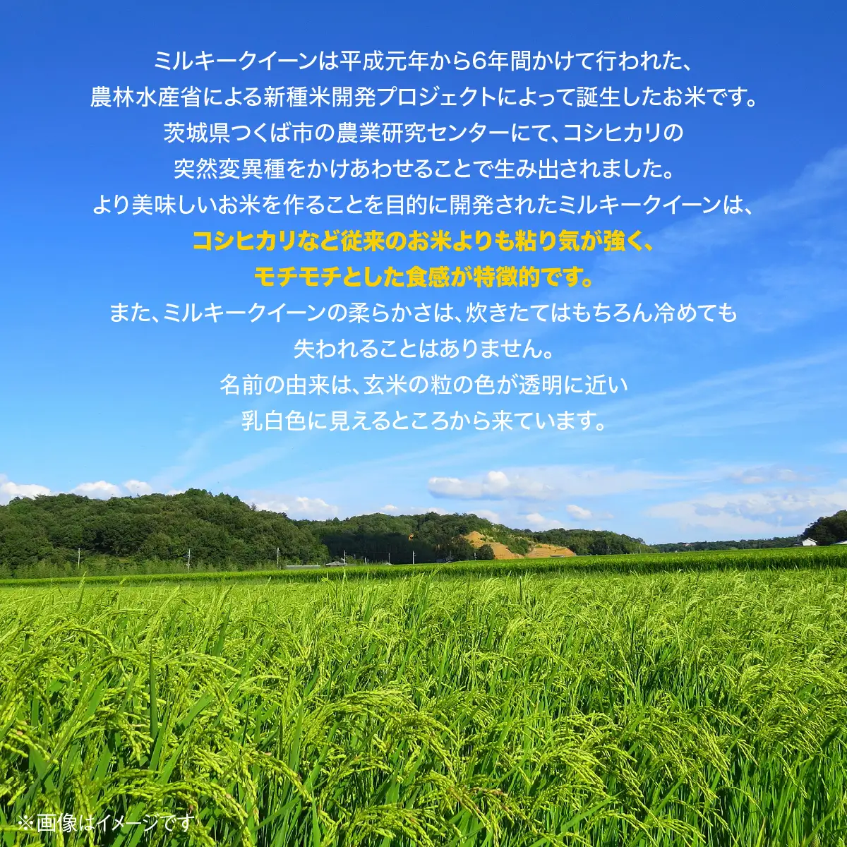 【先行予約・2027年9月上旬～配送】農家直送! 花檀さんちのこだわり米 ＜令和9年産＞ミルキークイーン玄米30kg SMDG001
