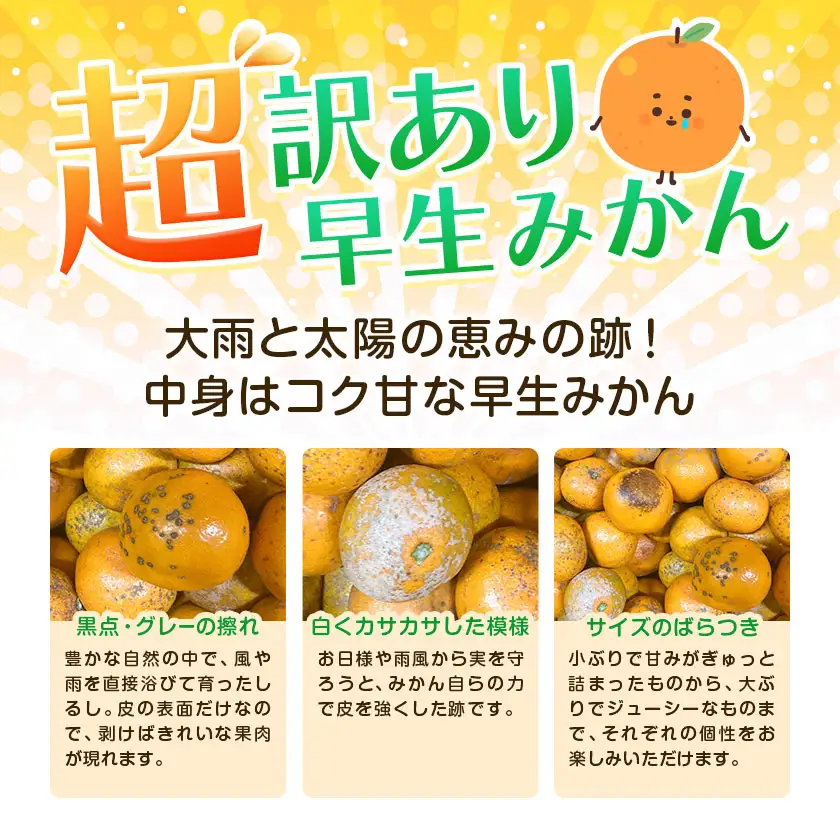 超訳あり早生みかん 約10kg みかん