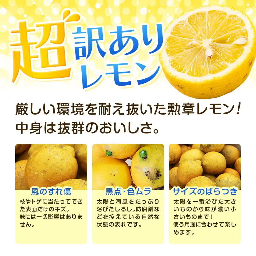超訳ありレモン 約5kg レモン