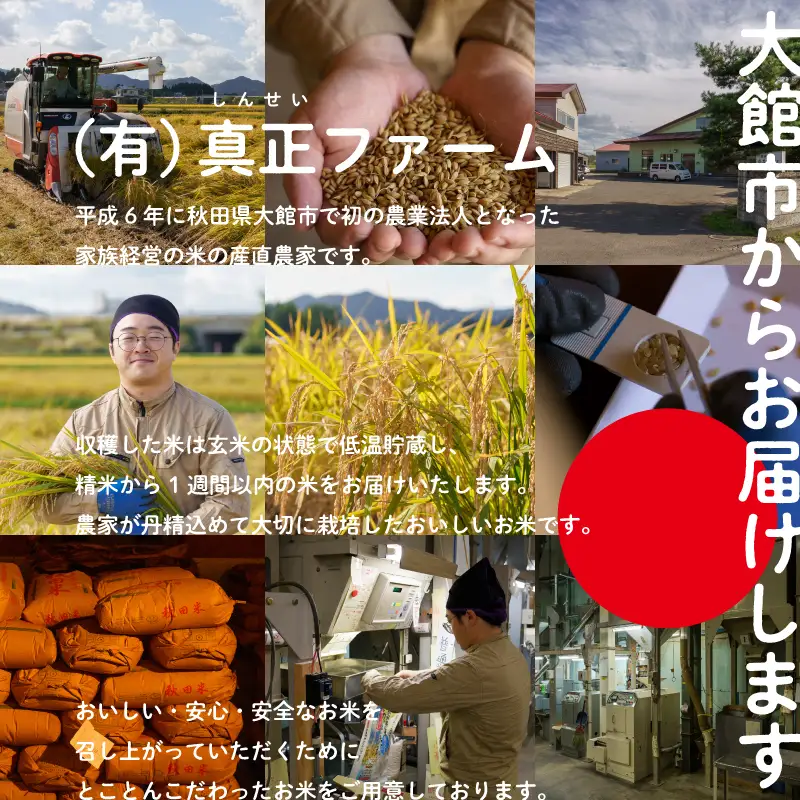 《令和8年産》【12ヶ月5kg定期便】白米 あきたこまち 精米 ブランド米 定期便【ふるさと納税3.0】【真正ファーム】