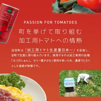 契約農家が露地栽培した完熟トマトケチャップ（320g瓶×2本）保存料 無添加 国産 北海道産 n-0220