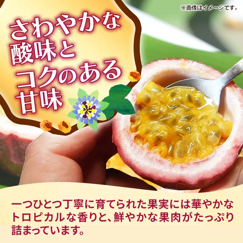 【贈答用】【先行受付・2027年発送】黄金ファーム南星 パッションフルーツ 優品 約2kg (16～24玉) - 贈答品 プレゼント 贈り物 ギフト 先行予約 南国フルーツ 国産 おすすめ 沖縄県 八重瀬町