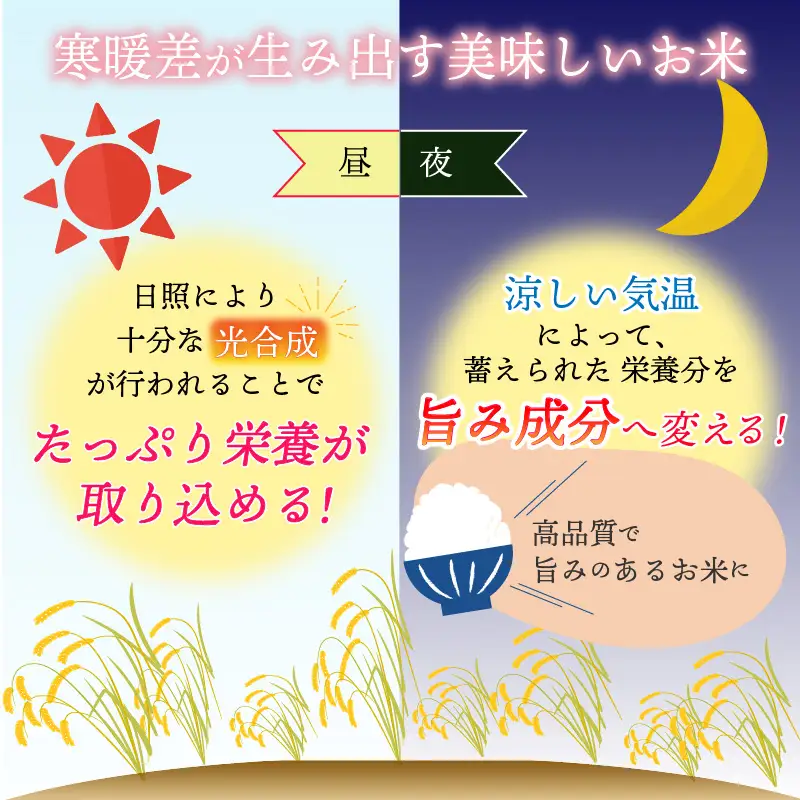 【先行予約】白山の恵み 令和8年産 コシヒカリ精米（10kg）※2026年10月上旬以降順次発送予定 [A-009011]
