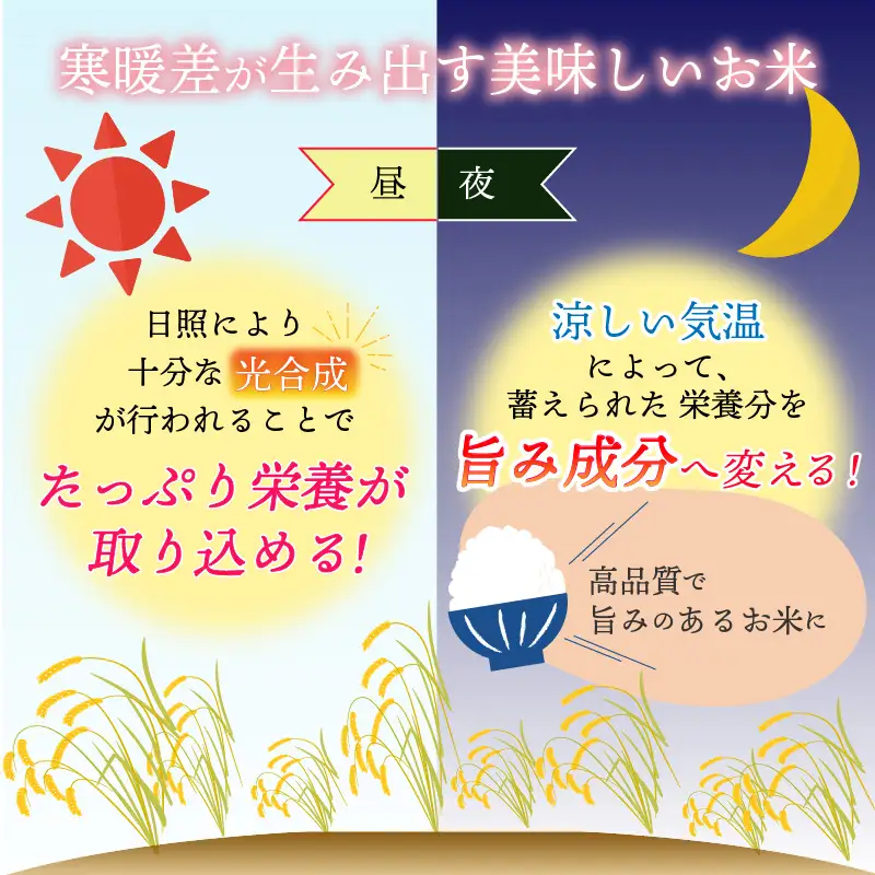 【先行予約】白山の恵み 令和8年度産 コシヒカリ玄米（10kg）※2026年10月上旬以降順次発送予定 [A-009012]