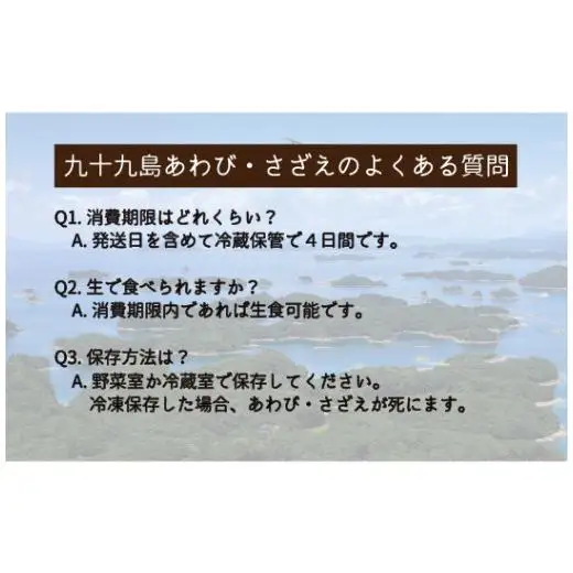 九十九島産 あわび さざえ セット 1.5kg ( 鮑700g 栄螺 800g ) 産地直送 新鮮 鮑 アワビ 魚貝 魚介 貝 海鮮 長崎県 佐世保市