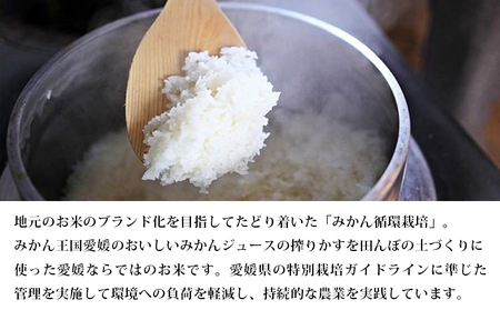 新米＜令和6年産 田力米 5kg ミルキースター＞お米 こめ コメ 白米 精米 ご飯 ごはん 特産品 産地直送 田力本願 愛媛県 西予市【常温】『1か月以内に順次出荷予定』UTH0003