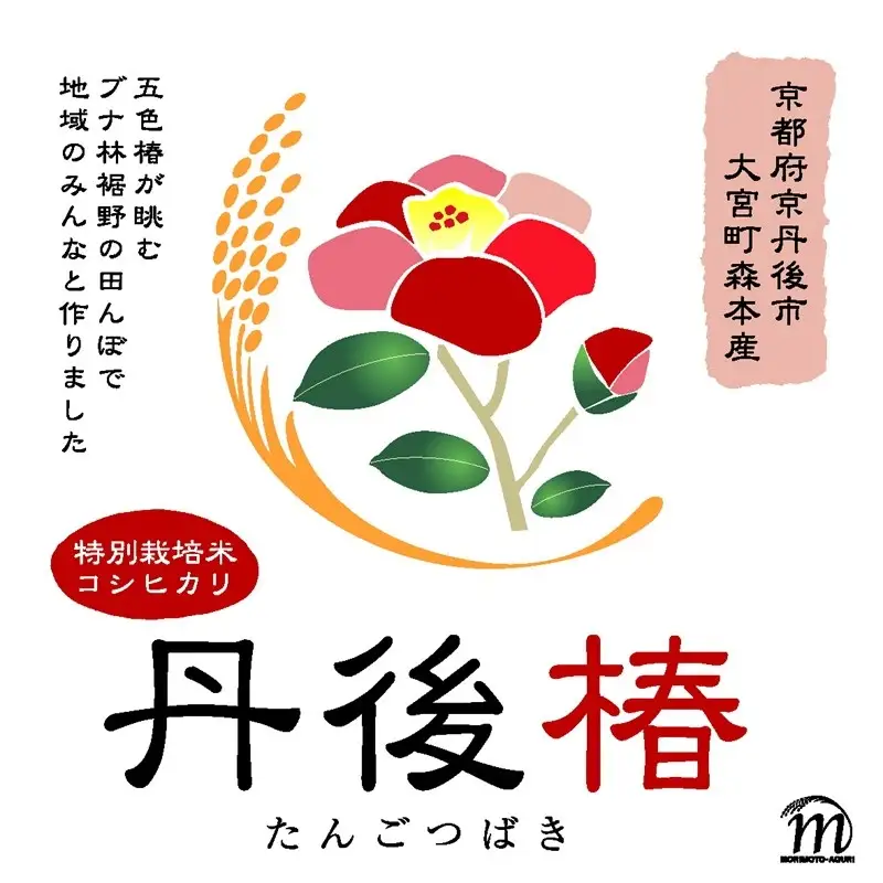 令和8年産 特別栽培米コシヒカリ 丹後椿（京丹後森本産） 2kg【定期便6回】
