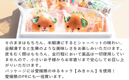 ＜冷凍みかん 詰め合わせ「いろせなセット」＞ 温州ミカン 蜜柑 ポンカン 不知火 ひめのつき せとか まどんな 果物 フルーツ 柑橘 おやつ 夏 冷たい デザート 食べて応援 特産品 渡江から一歩を踏み出す会 愛媛県 西予市【冷凍】『1か月以内に順次出荷予定』ATI0003