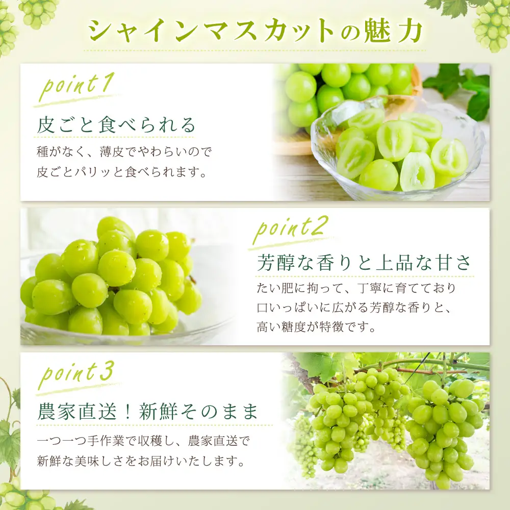 大分県産 シャインマスカット 約500g (1～2房) 2B1