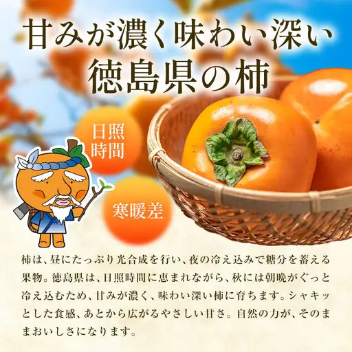 柿4kg 訳あり たねなし