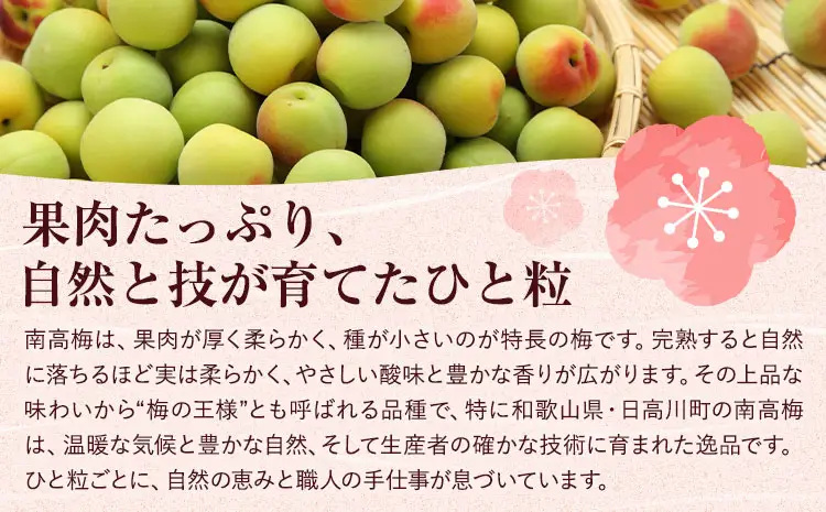訳あり 南高梅 約5kg 梅 うめ
