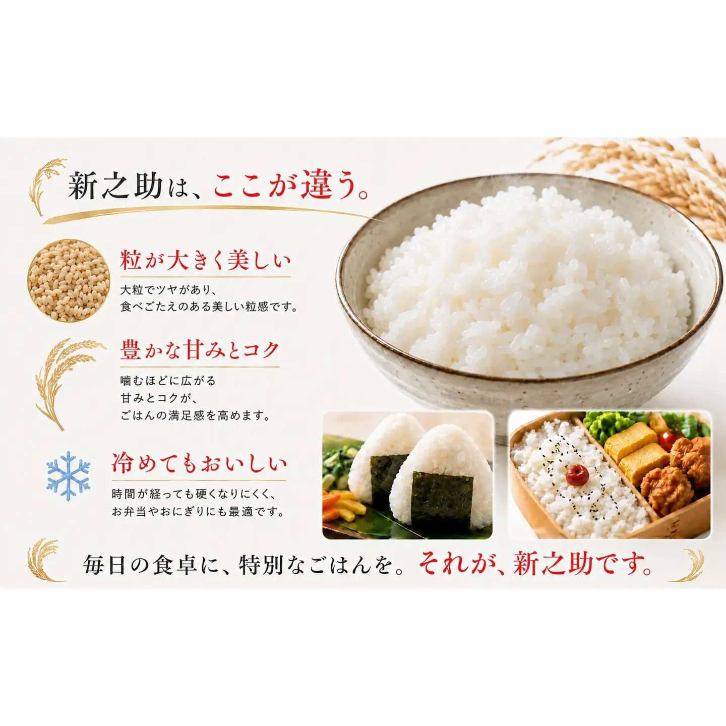 令和8年産 新潟県産 「鳥屋脇町生産組合 新之助」精米　5kg（岩渕農場）