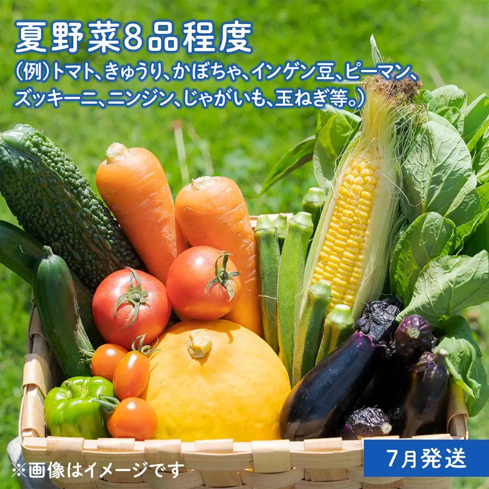 「ベジーズ館」の夏・冬野菜　年２回コース （7月と12月発送）｜【野菜定期便・野菜・定期便・冬野菜・夏野菜・野菜セット・旬の野菜・兵庫野菜・相生野菜・国産野菜・野菜詰め合わせ・冬野菜詰め合わせ・夏野菜詰め合わせ】