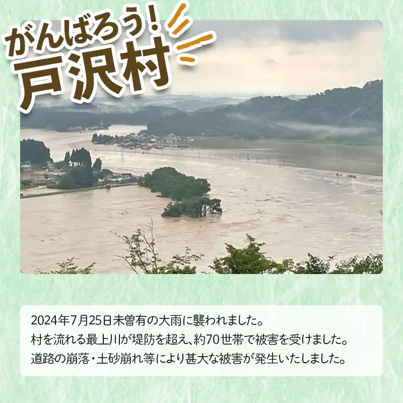 ≪新米先行予約≫ 復興応援米 令和8年度 山形県戸沢村産 つや姫 4kg(2kg×2) 精米 白米 お米 米 ご飯 ごはん ブランド米 家庭用 自宅用 贈答用 お取り寄せ 食品 山形県 戸沢村 F7W-0504