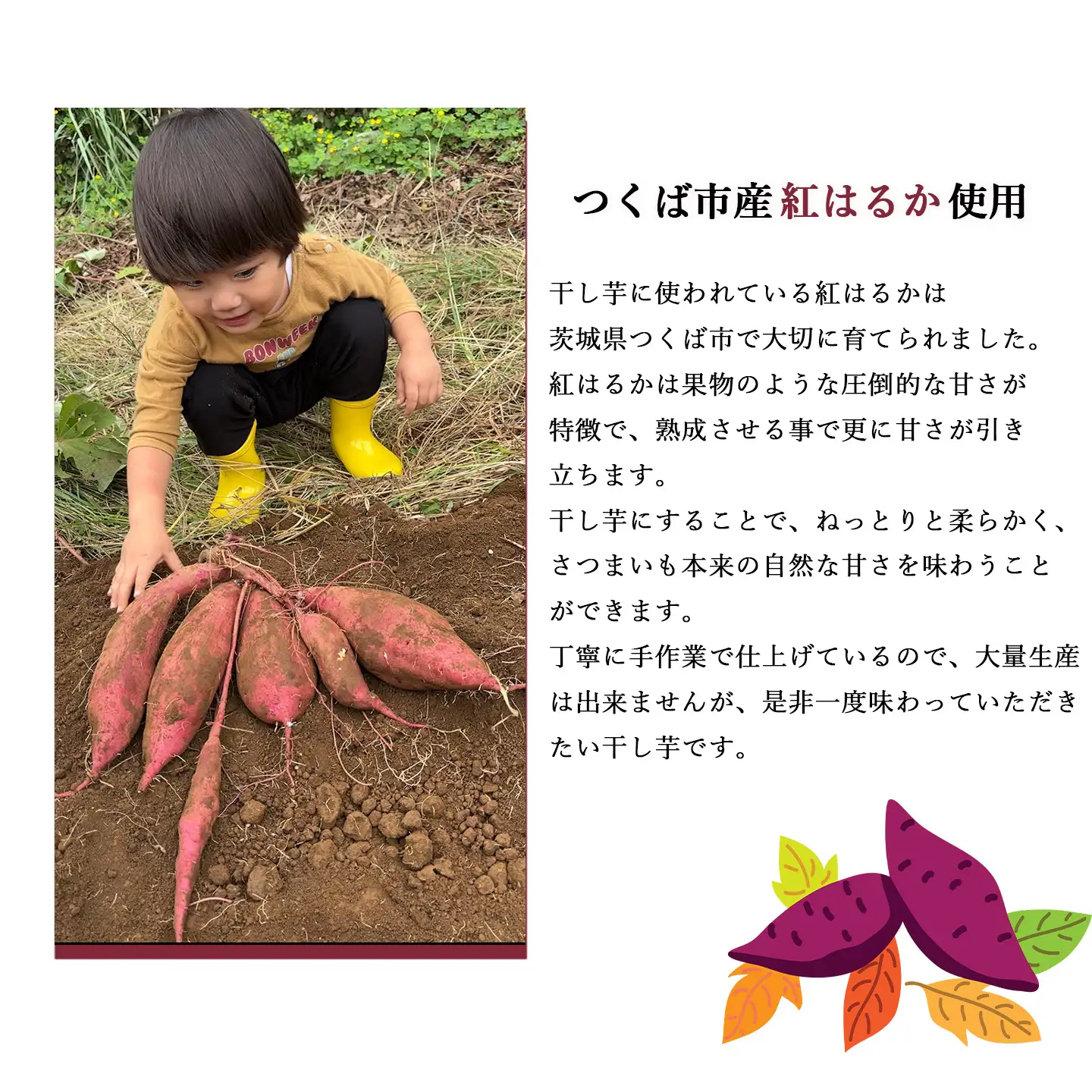 先行予約】 熟成紅はるか 干し芋 （丸干し・平干し）150g×2袋 300g 干