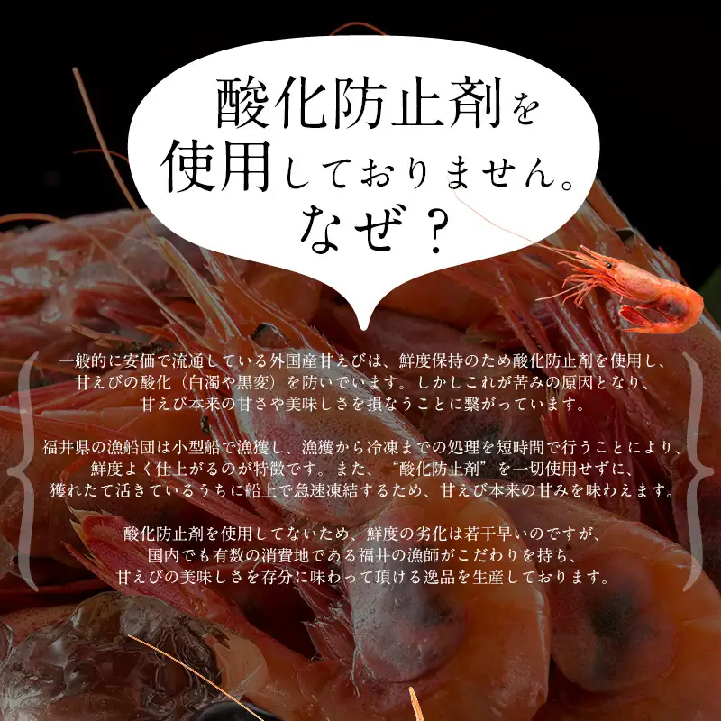 福井県敦賀産甘えび・子持ち大サイズ約1kg（約80～90尾）[053-a243(20)]
