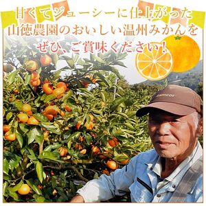 山徳農園「温州みかん」５kg（数量限定） MYT0001