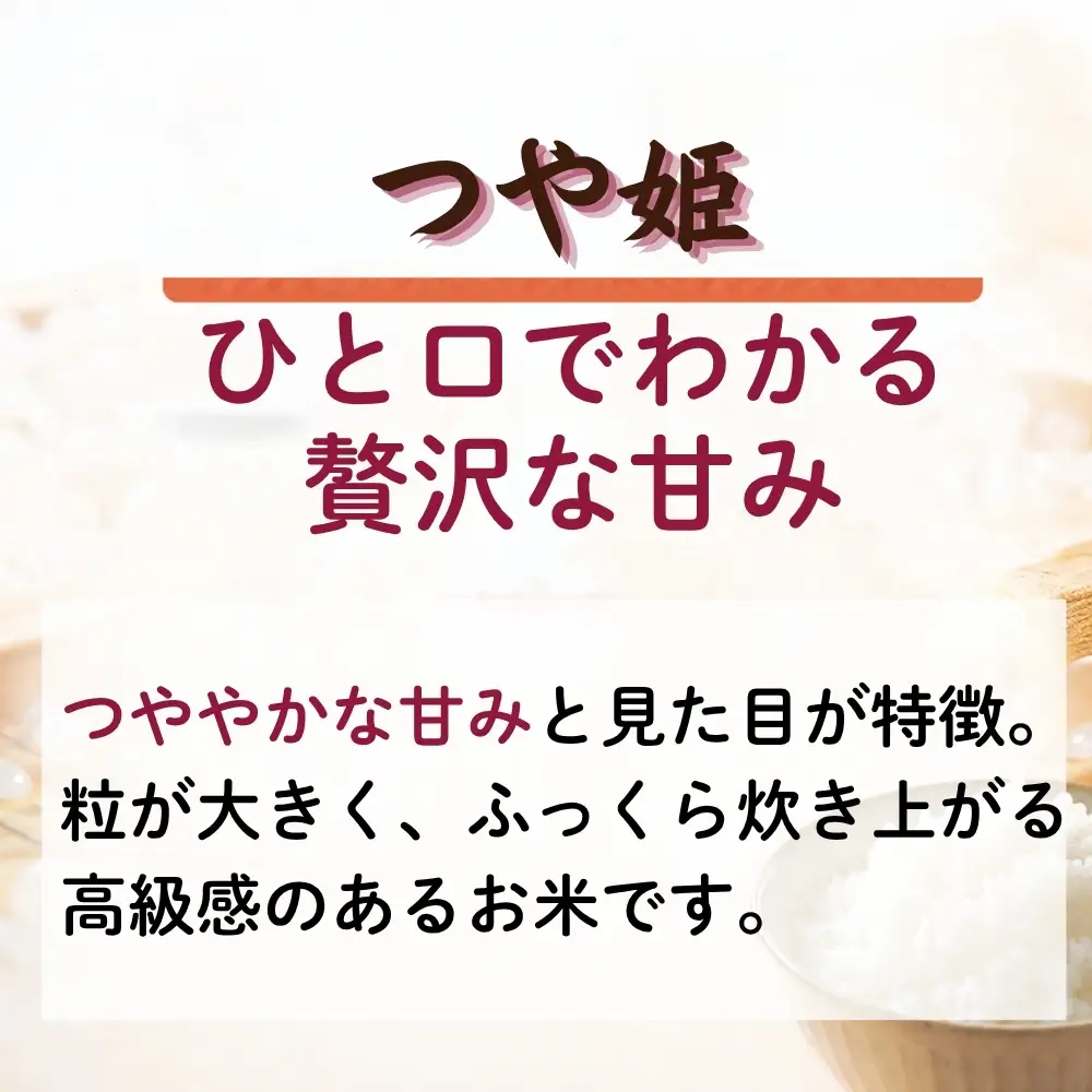 【先行予約】【新米】【令和8年10月中旬～下旬順次発送】 つや姫 精米 10kg 令和8年  宮城県産  H つや姫