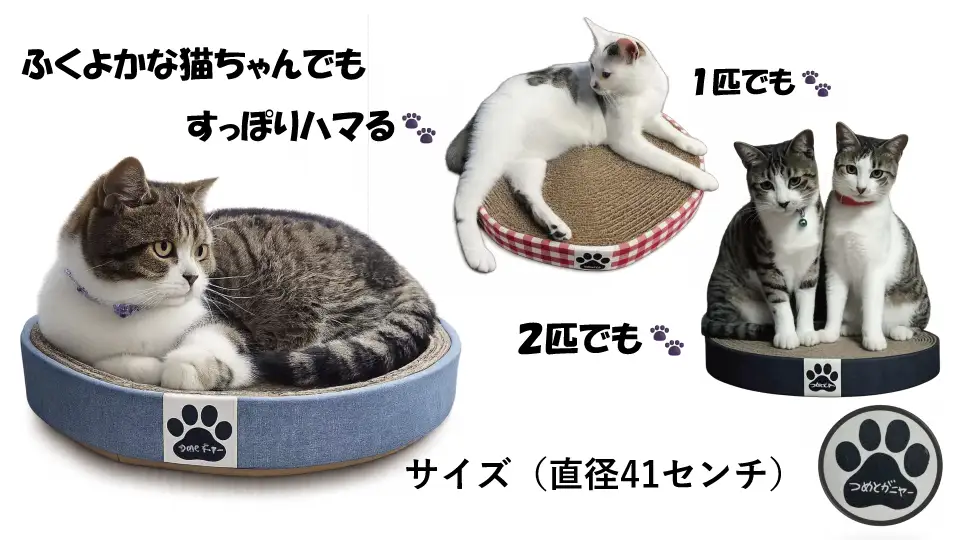 A-1291 ねこのつめとぎ「つめとがニャー」 ２個入り