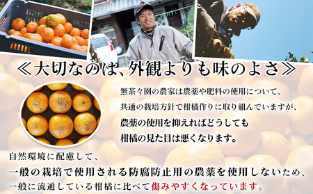 ＜無茶々園 温州みかん 約3kg＞ 【先行予約】果物 くだもの ミカン 蜜柑 柑橘 フルーツ うんしゅうみかん 選べる内容量 贈り物 ギフト おいしい 期間限定 季節限定 食べて応援 特産品 愛媛県 西予市 【常温】『2026年11月～12月上旬に順次出荷予定』AMC0002