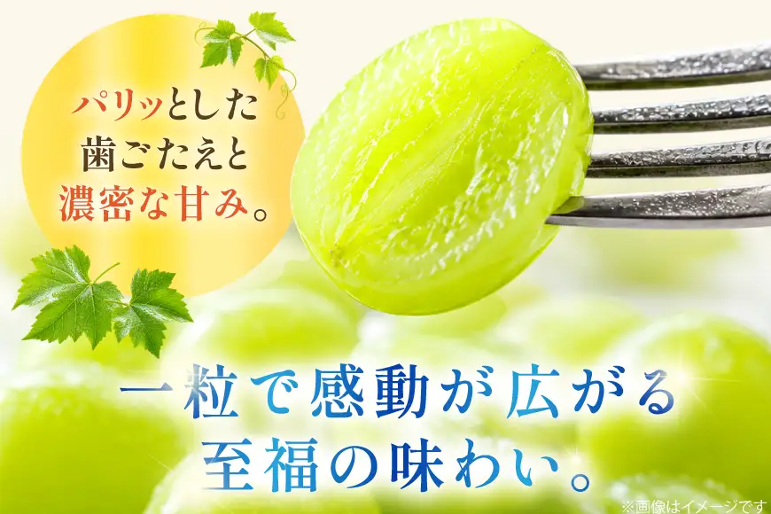 v1?ProductId=2052478&