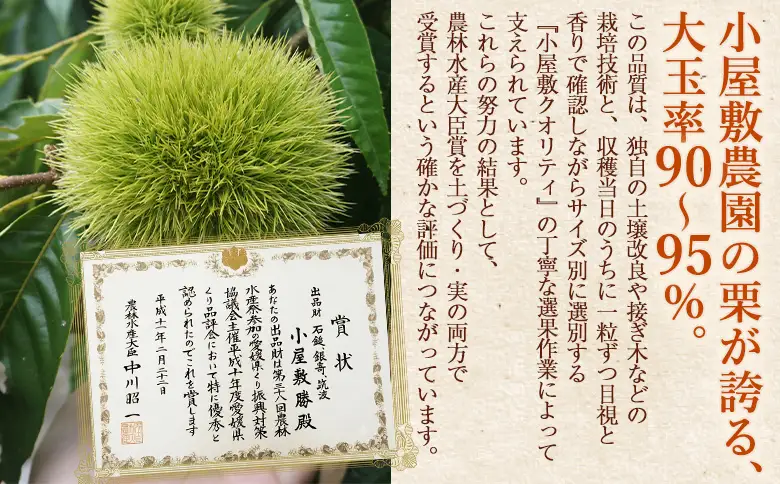 ＜大粒むき栗 約280g×2袋＞『9月中旬から順次出荷予定』 和栗 皮なし くり おおつぶ 大きい 幻の栗 甘い 新鮮 栗ごはん 栗きんとん 剥き栗 甘露煮 旬 国産栗 お取り寄せ 旬 特産品 国産 秋の味覚 真空パック 長期保存 皮むき不要 おせち 小屋敷農園【冷凍】SKN0003