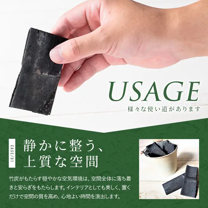 竹炭 出水の自然が育てた 竹炭 100g 調湿 消臭 【シンタク】 i1357