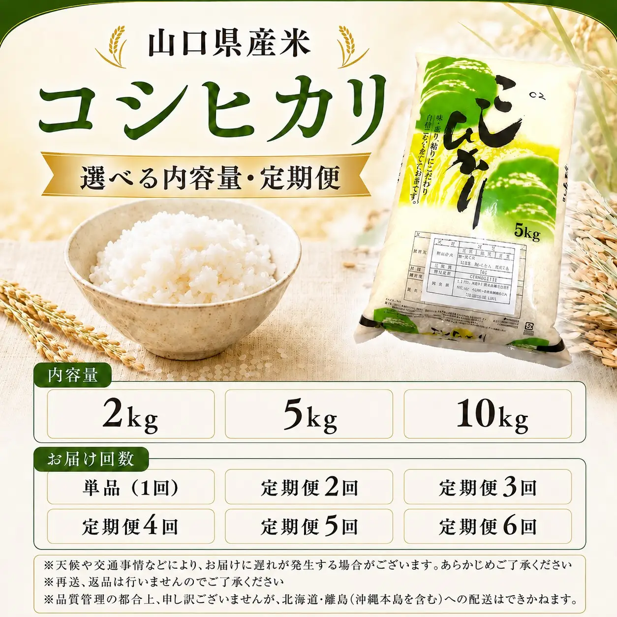 令和8年度産 山口県産 コシヒカリ 10㎏ 