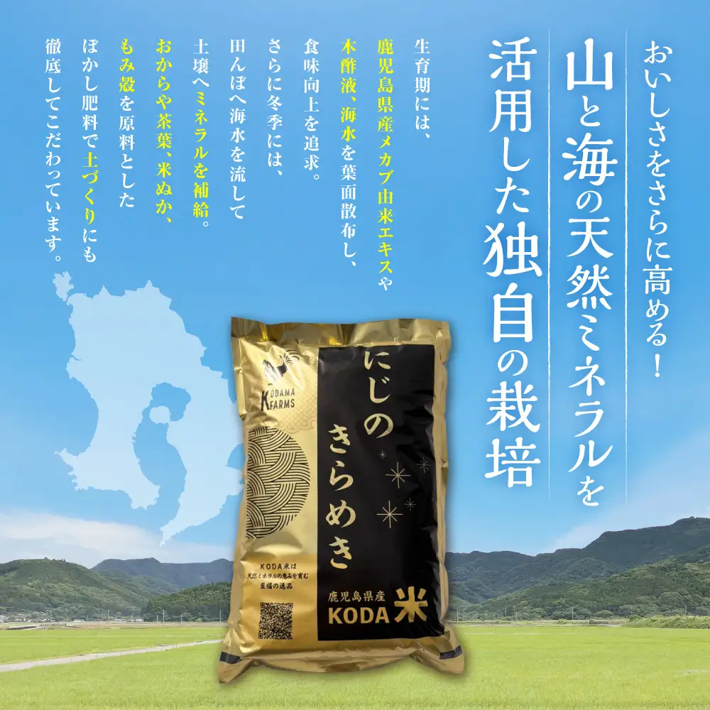 【先行予約】 令和8年米 【KODAMAFARMS】 にじのきらめき 10kg （5㎏×2袋） KODA米 白米 米 お米 おこめ 常温 【2026年11月上旬から順次発送予定】_ss2394