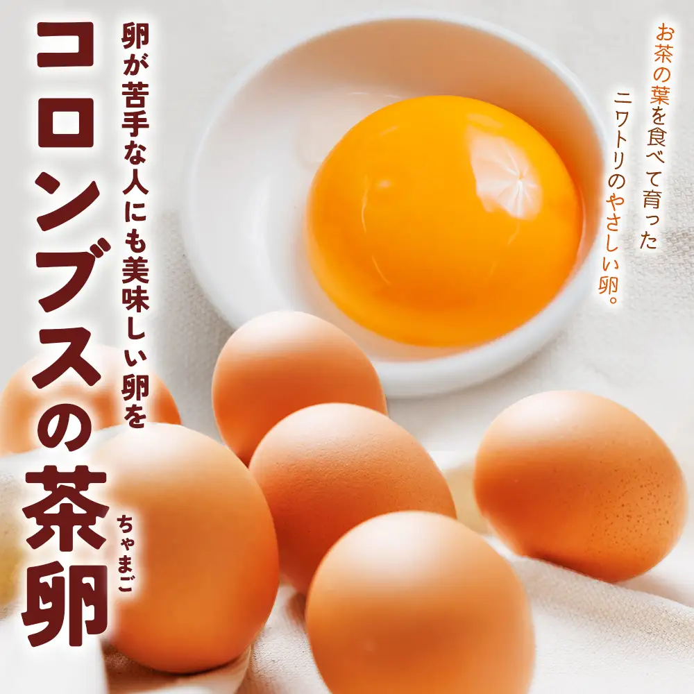 たまご コロンブスの茶卵 10個入×6P 卵が苦手な子どもも食べられた！ kl-0005