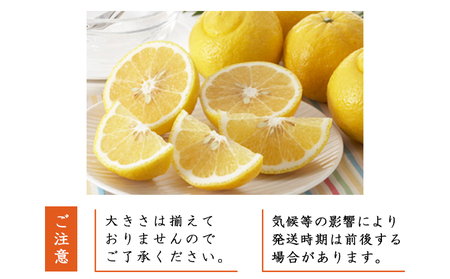＜愛媛西予市産 はるか 家庭用 約4kg＞ 柑橘 果物 フルーツ ミカン みかん オレンジ 特産品 渡江から一歩を踏み出す会 食べて応援 特産品 愛媛県 西予市 【常温】『2026年1月下旬～4月上旬迄に順次出荷予定』ATI0012