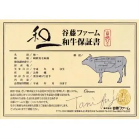 【のし付き】和一ステーキ用サーロイン800g　谷藤ファームおすすめ厳選ギフト　牛脂付き【配送不可地域：離島】【1760448】