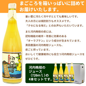 黒田農園直送 西宇和産河内晩柑ジュース4本セット MKN0008