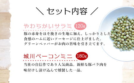 ＜城川自然牧場 いろいろな味セット 5種＞ サラミ ベーコン 粗挽きウインナー ペッパーウインナー 豚肉 牛肉 国産 加工品 詰め合わせ 贈答用 城川ファクトリー 愛媛県 西予市【冷蔵】『1か月以内に順次出荷予定』SSF0015