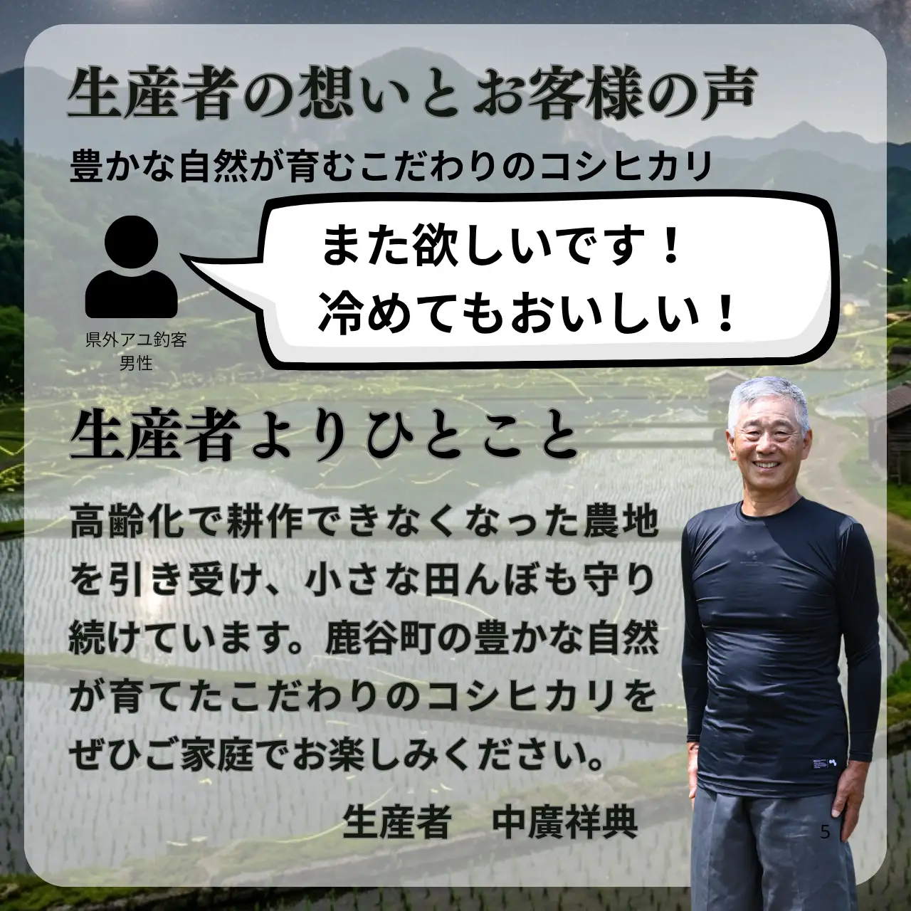 米 コシヒカリ 精米 5kg 令和8年産 先行予約 [A-104002]