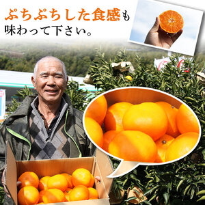 山徳農園甘平 MYT0004