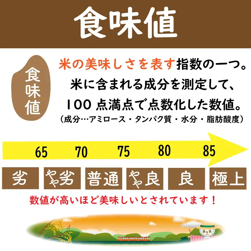 お米 コシヒカリ 5kg 定期便3回 令和8年産 【 米 】